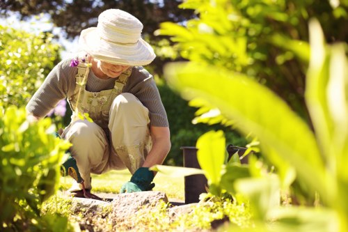 Close-up of gardening work with tools and plants