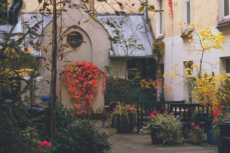 A small urban courtyard garden featuring a brick wall with a large window framed in black, divided into multiple panes. In front of the window, there is a black window box filled with lush plants, inc
